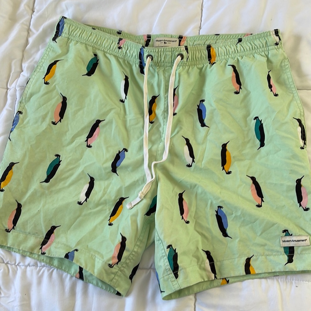 PacSun Swim Trunks - Penguins